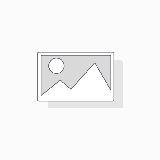 Leads Analyzer Agent